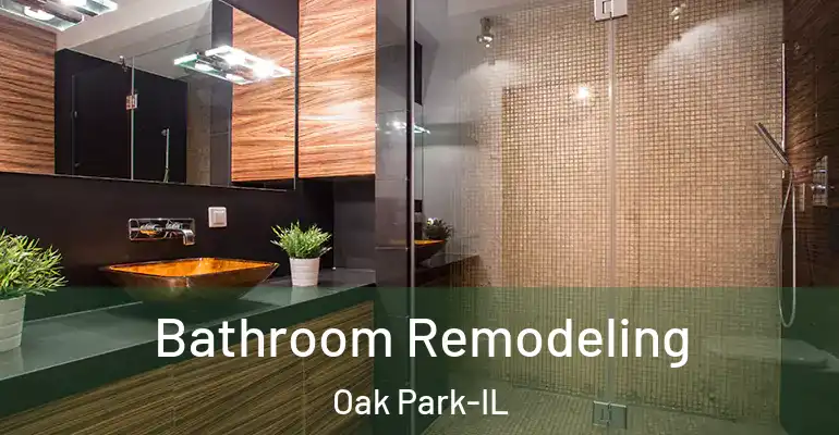 inner Bathroom imggen Bathroom Remodeling Oak Park-IL