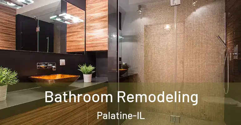 inner Bathroom imggen Bathroom Remodeling Palatine-IL