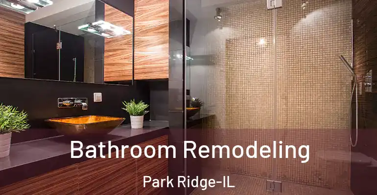 inner Bathroom imggen Bathroom Remodeling Park Ridge-IL