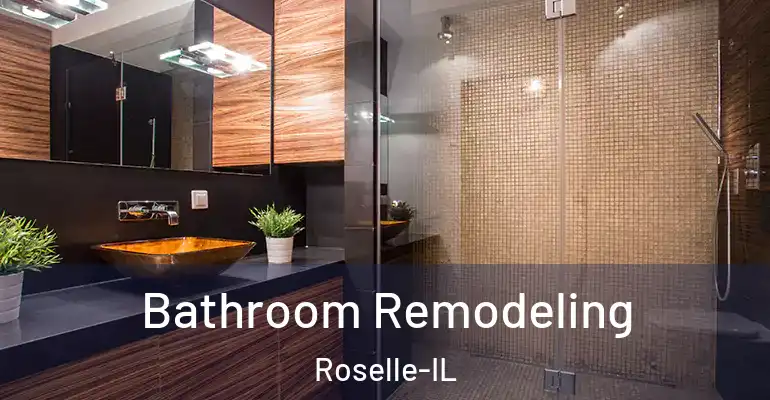 inner Bathroom imggen Bathroom Remodeling Roselle-IL