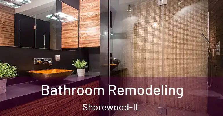 inner Bathroom imggen Bathroom Remodeling Shorewood-IL