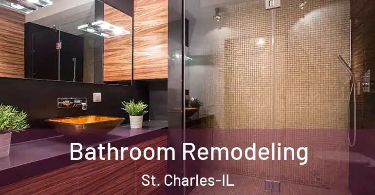 inner Bathroom imggen Bathroom Remodeling St. Charles-IL