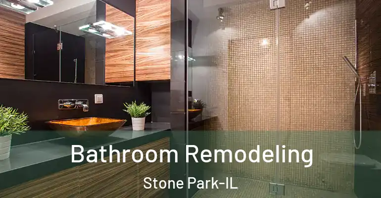 inner Bathroom imggen Bathroom Remodeling Stone Park-IL