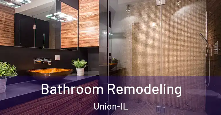 inner Bathroom imggen Bathroom Remodeling Union-IL