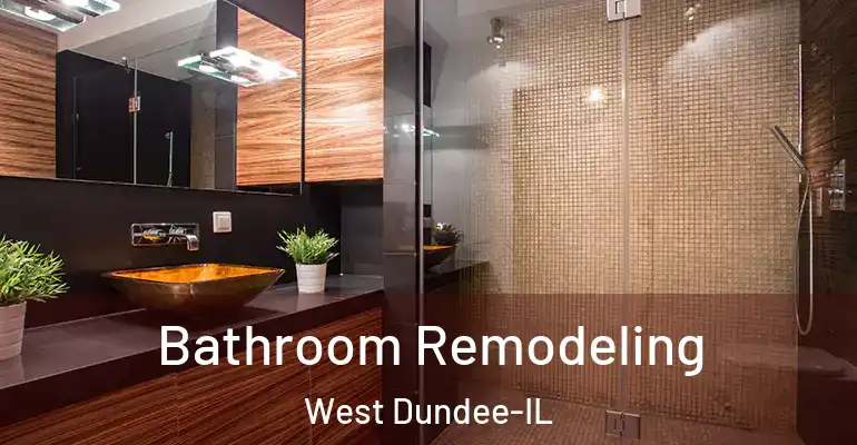 inner Bathroom imggen Bathroom Remodeling West Dundee-IL