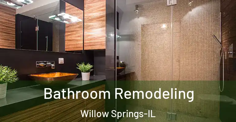 inner Bathroom imggen Bathroom Remodeling Willow Springs-IL