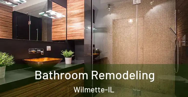 inner Bathroom imggen Bathroom Remodeling Wilmette-IL