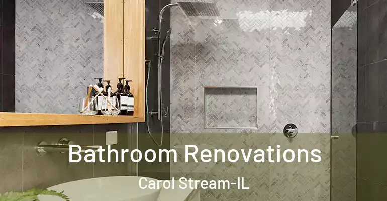 inner Bathroom imggen Bathroom Renovations Carol Stream-IL