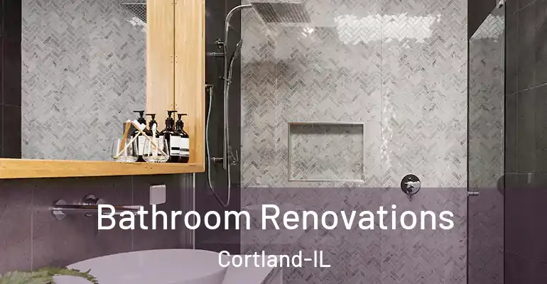 inner Bathroom imggen Bathroom Renovations Cortland-IL