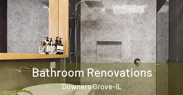 inner Bathroom imggen Bathroom Renovations Downers Grove-IL