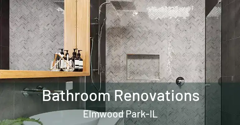 inner Bathroom imggen Bathroom Renovations Elmwood Park-IL