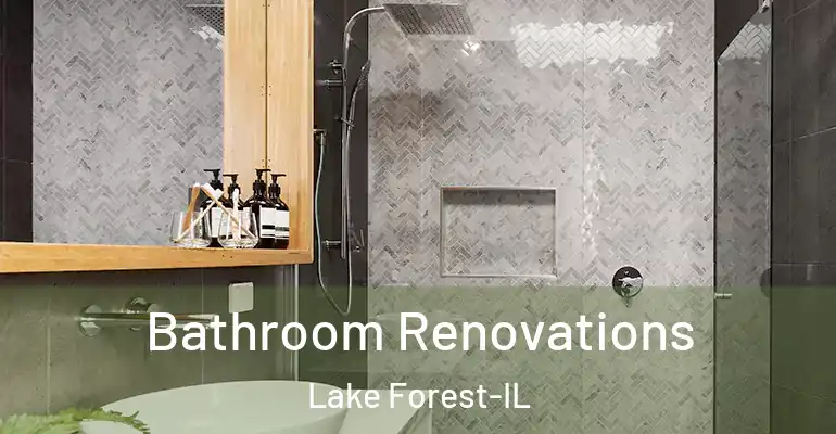 inner Bathroom imggen Bathroom Renovations Lake Forest-IL