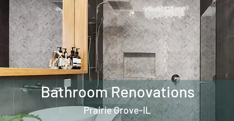inner Bathroom imggen Bathroom Renovations Prairie Grove-IL