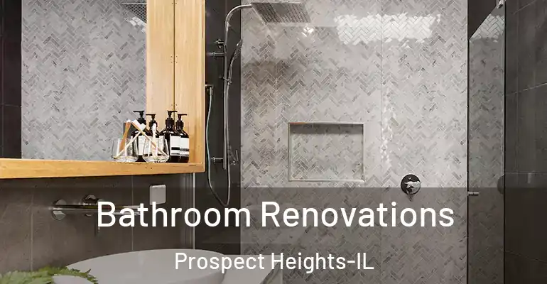 inner Bathroom imggen Bathroom Renovations Prospect Heights-IL