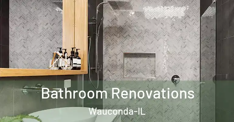 inner Bathroom imggen Bathroom Renovations Wauconda-IL