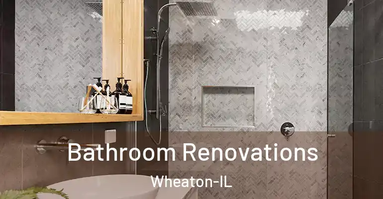 inner Bathroom imggen Bathroom Renovations Wheaton-IL