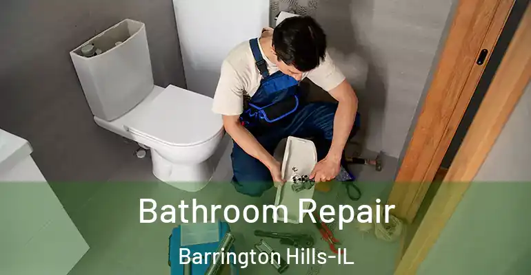 inner Bathroom imggen Bathroom Repair Barrington Hills-IL