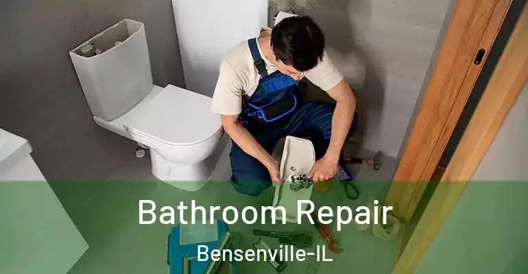 inner Bathroom imggen Bathroom Repair Bensenville-IL