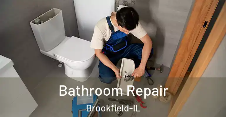 inner Bathroom imggen Bathroom Repair Brookfield-IL