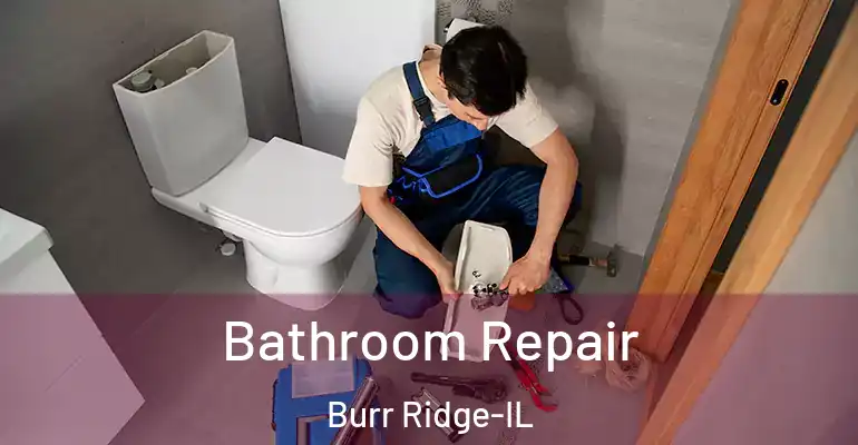 inner Bathroom imggen Bathroom Repair Burr Ridge-IL