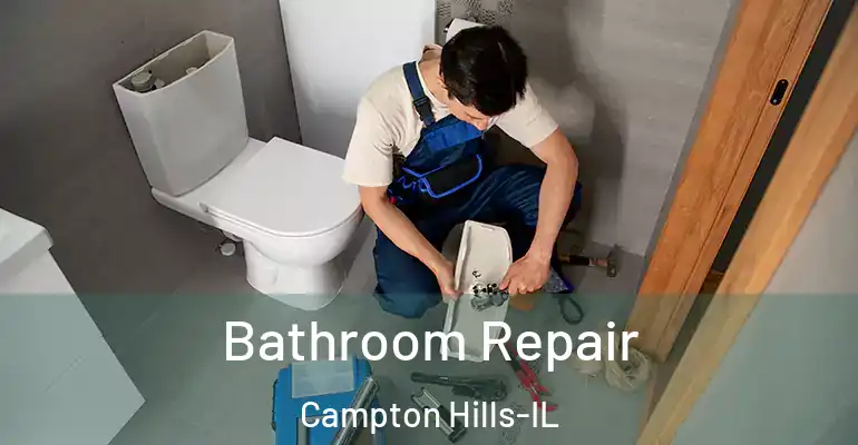 inner Bathroom imggen Bathroom Repair Campton Hills-IL