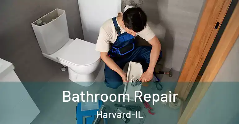inner Bathroom imggen Bathroom Repair Harvard-IL