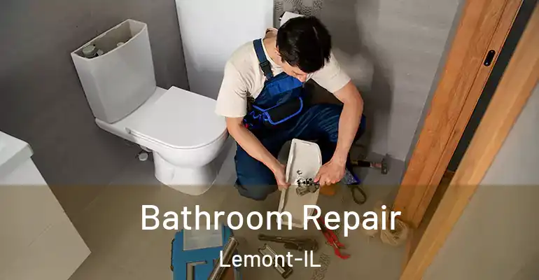 inner Bathroom imggen Bathroom Repair Lemont-IL