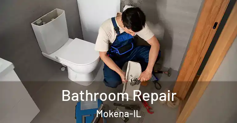 inner Bathroom imggen Bathroom Repair Mokena-IL