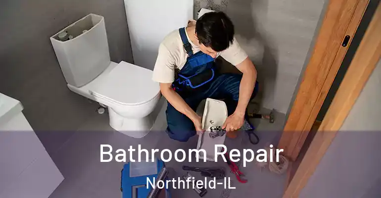 inner Bathroom imggen Bathroom Repair Northfield-IL
