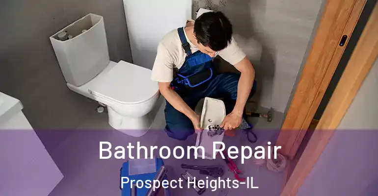 inner Bathroom imggen Bathroom Repair Prospect Heights-IL