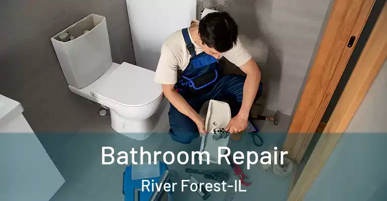 inner Bathroom imggen Bathroom Repair River Forest-IL