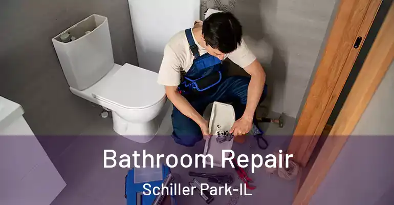 inner Bathroom imggen Bathroom Repair Schiller Park-IL