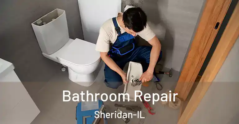 inner Bathroom imggen Bathroom Repair Sheridan-IL
