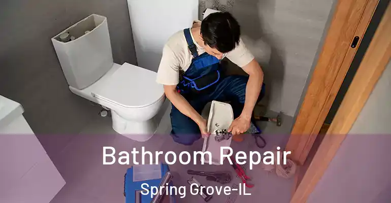 inner Bathroom imggen Bathroom Repair Spring Grove-IL