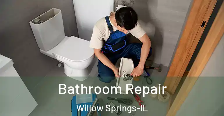 inner Bathroom imggen Bathroom Repair Willow Springs-IL