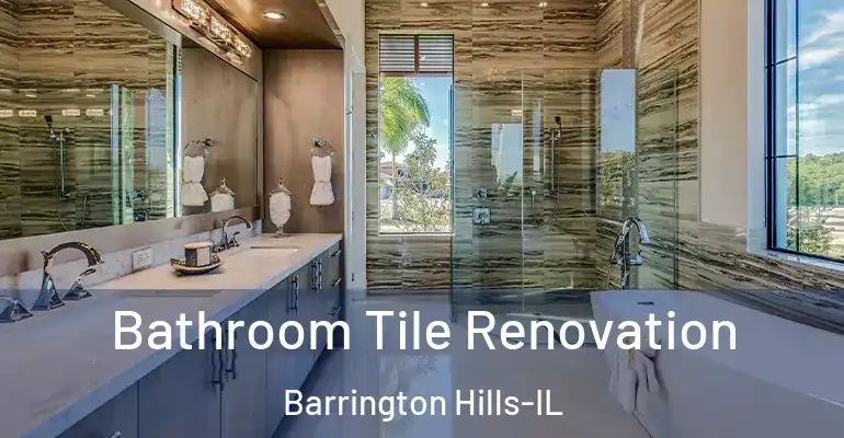 inner Bathroom imggen Bathroom Tile Renovation Barrington Hills-IL