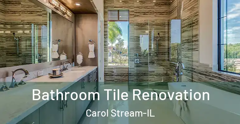 inner Bathroom imggen Bathroom Tile Renovation Carol Stream-IL