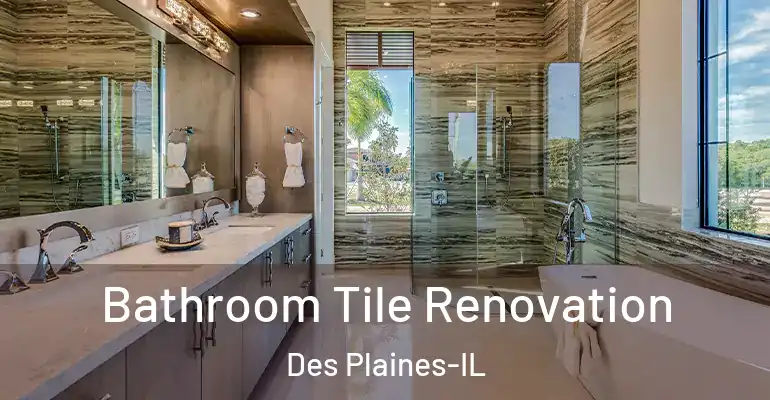 inner Bathroom imggen Bathroom Tile Renovation Des Plaines-IL