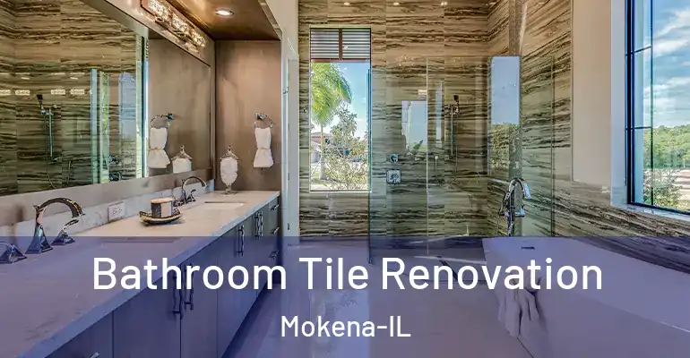 inner Bathroom imggen Bathroom Tile Renovation Mokena-IL