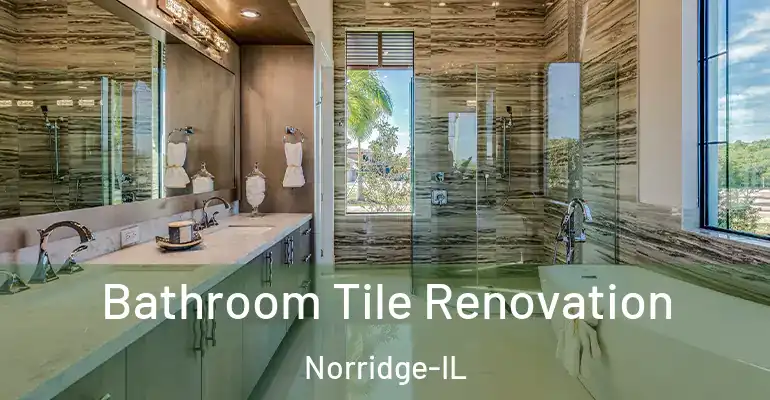 inner Bathroom imggen Bathroom Tile Renovation Norridge-IL