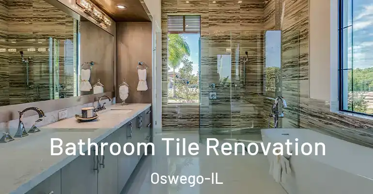 inner Bathroom imggen Bathroom Tile Renovation Oswego-IL