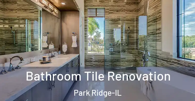 inner Bathroom imggen Bathroom Tile Renovation Park Ridge-IL