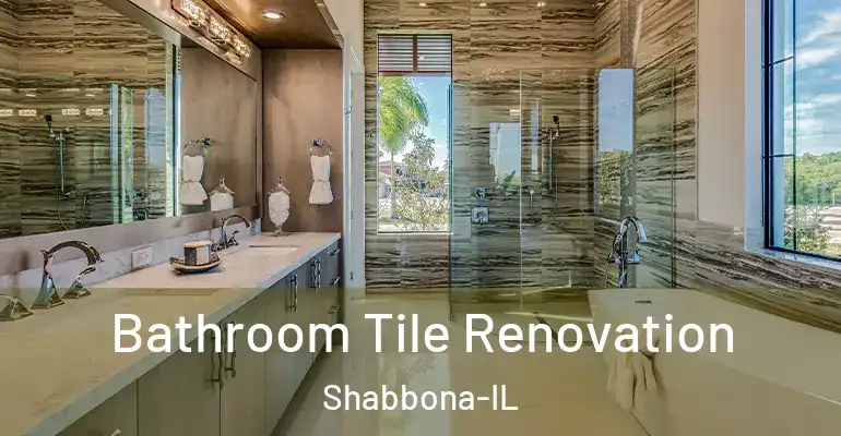 inner Bathroom imggen Bathroom Tile Renovation Shabbona-IL