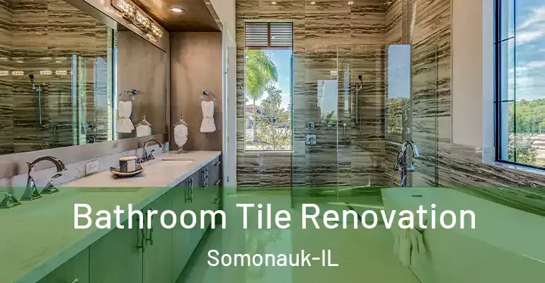 inner Bathroom imggen Bathroom Tile Renovation Somonauk-IL