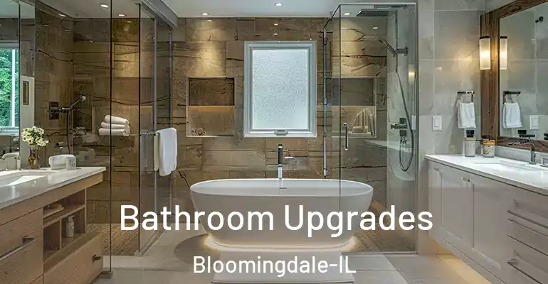 inner Bathroom imggen Bathroom Upgrades Bloomingdale-IL