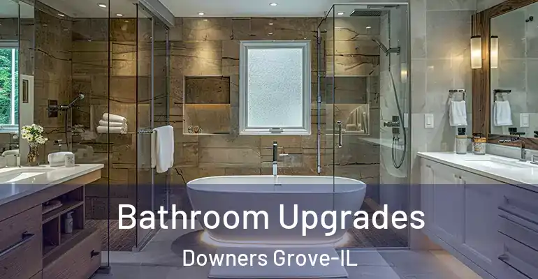 inner Bathroom imggen Bathroom Upgrades Downers Grove-IL
