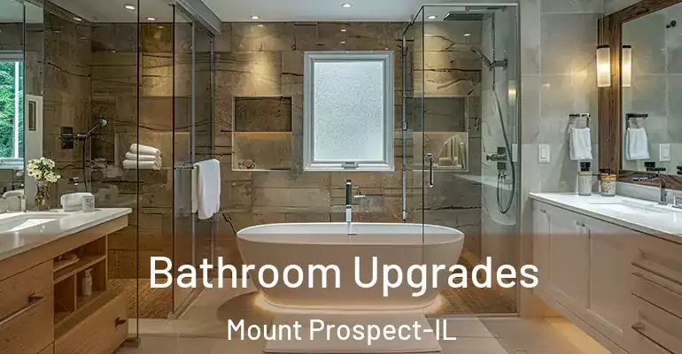 inner Bathroom imggen Bathroom Upgrades Mount Prospect-IL