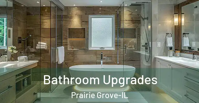 inner Bathroom imggen Bathroom Upgrades Prairie Grove-IL