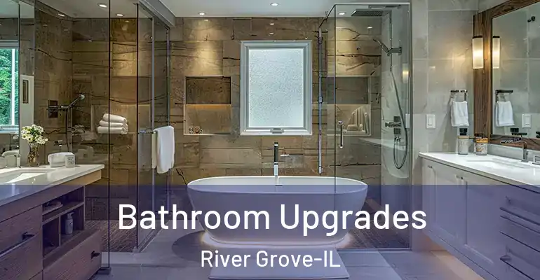 inner Bathroom imggen Bathroom Upgrades River Grove-IL