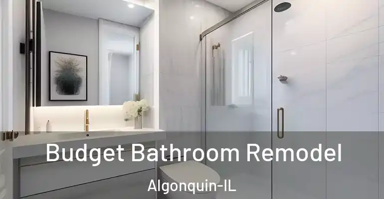 inner Bathroom imggen Budget Bathroom Remodel Algonquin-IL